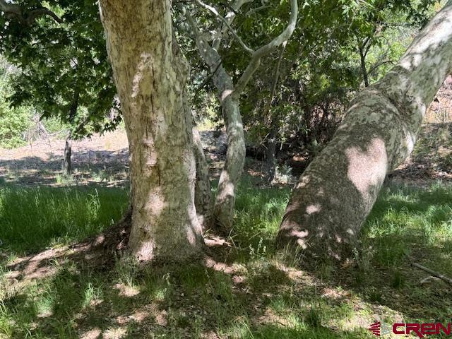 125 Deep Creek Ranch Road Property Photo 13