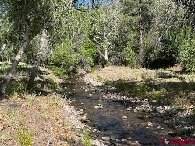 125 Deep Creek Ranch Road Property Photo 14