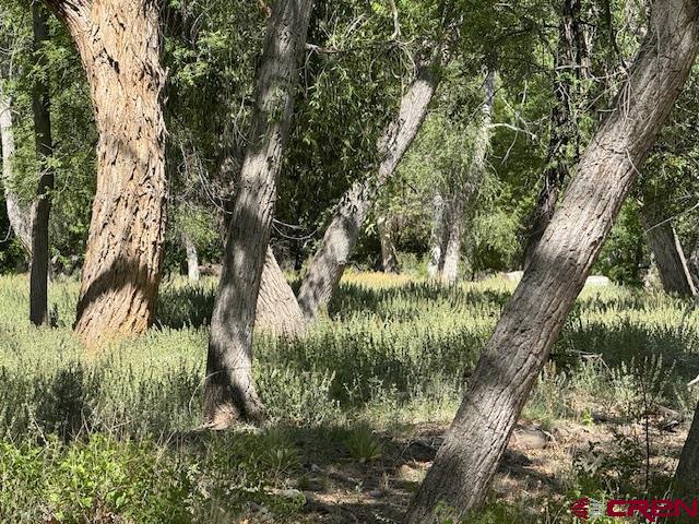 125 Deep Creek Ranch Road Property Photo 15