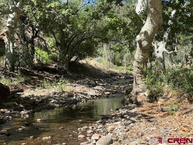 125 Deep Creek Ranch Road Property Photo 17
