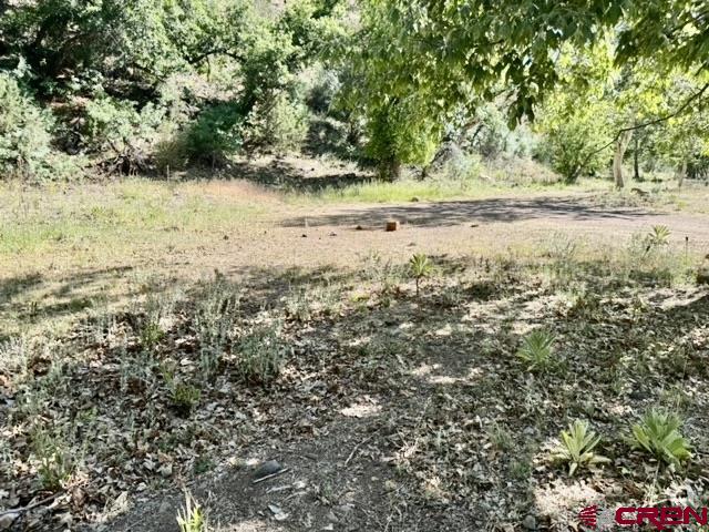 125 Deep Creek Ranch Road Property Photo 26