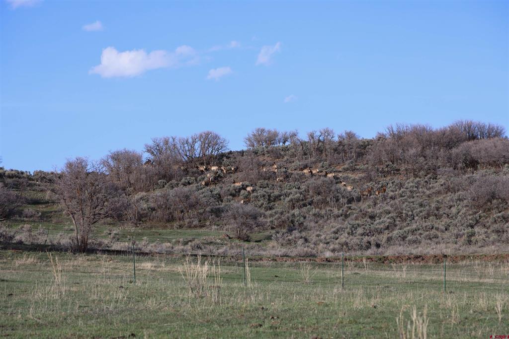 Tbd Cr 100 Property Photo 16