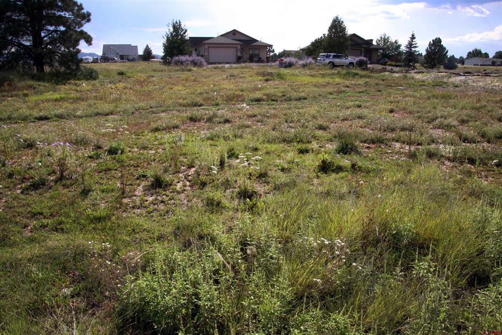 49 Paradise Drive Property Photo 13