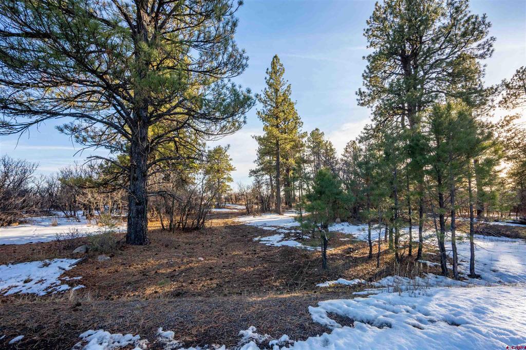 363 Jacobson Circle Property Photo 2