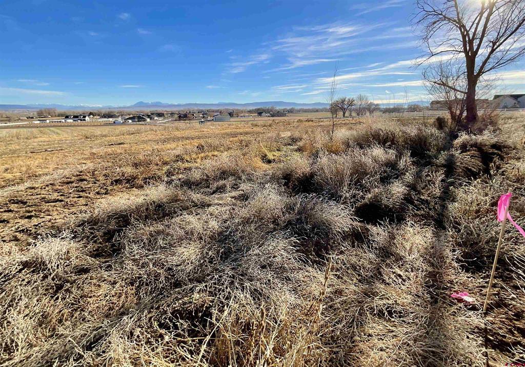 Tbd Lot 4 Bronco Court Property Photo 6