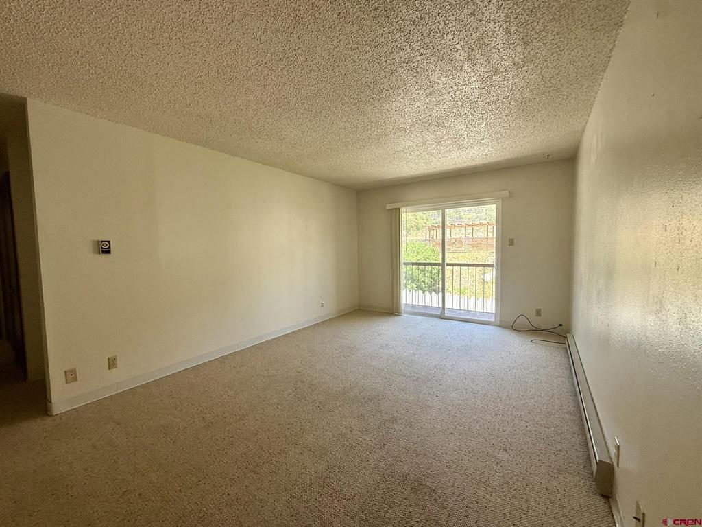 34237 N Highway 550 Property Photo 11