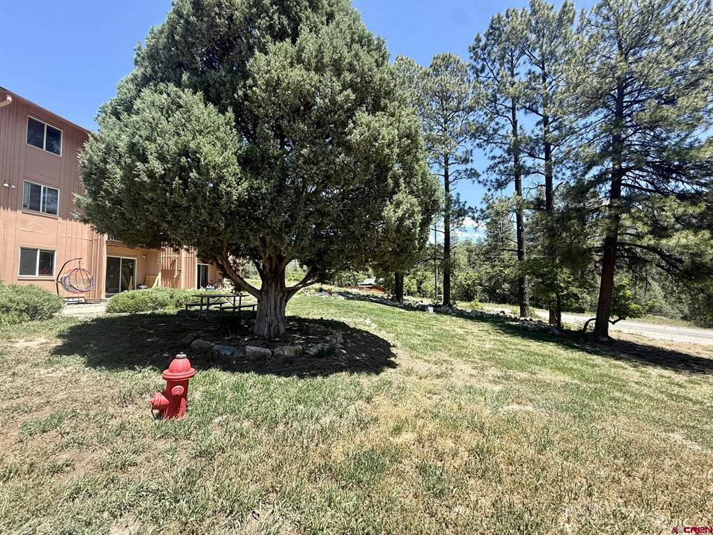 34237 N Highway 550 Property Photo 25