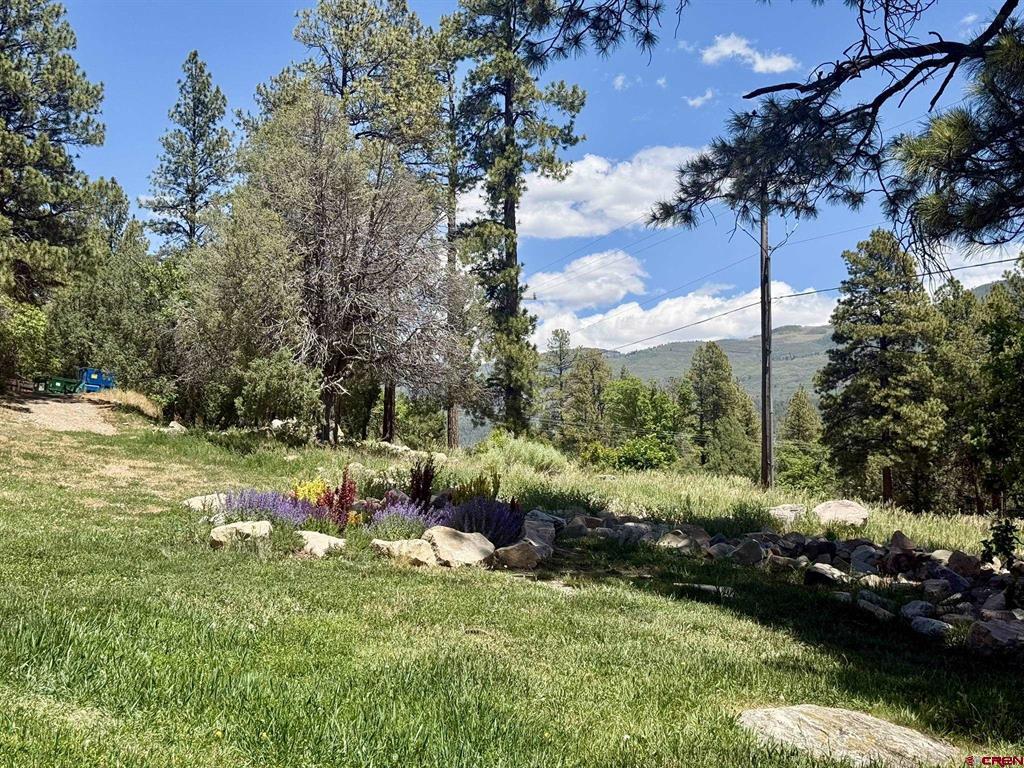 34237 N Highway 550 Property Photo 27