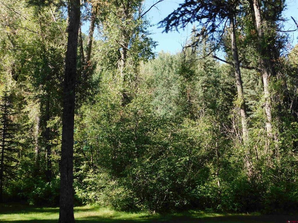27046 Hwy 145 Property Photo 23