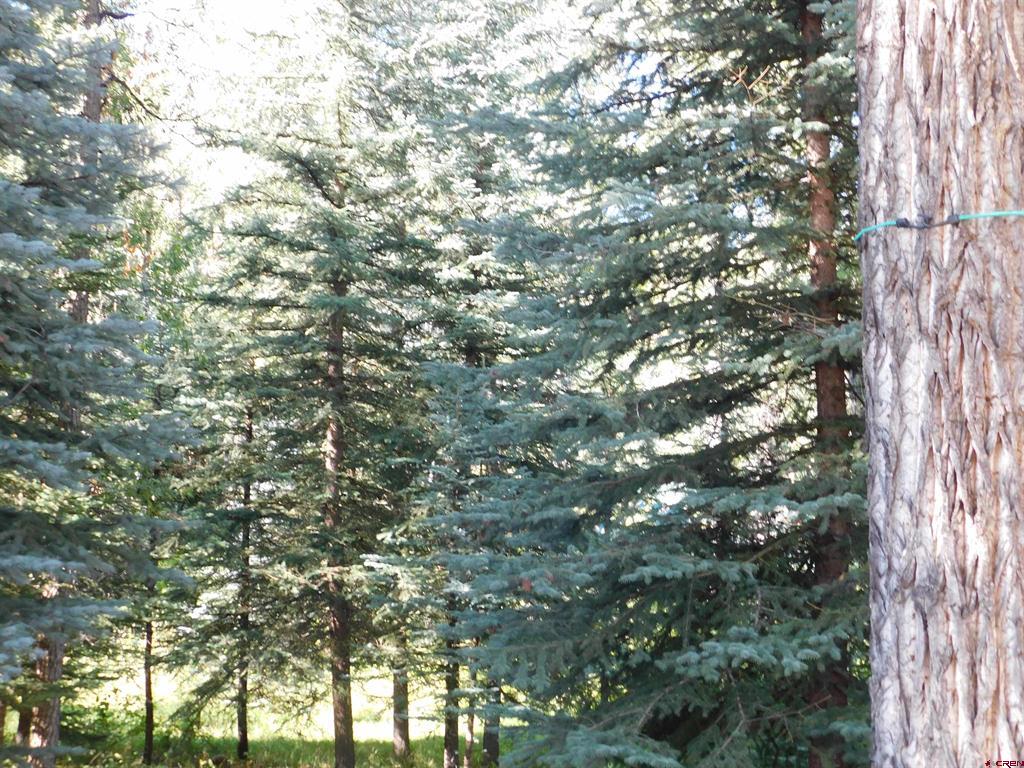 27046 Hwy 145 Property Photo 24