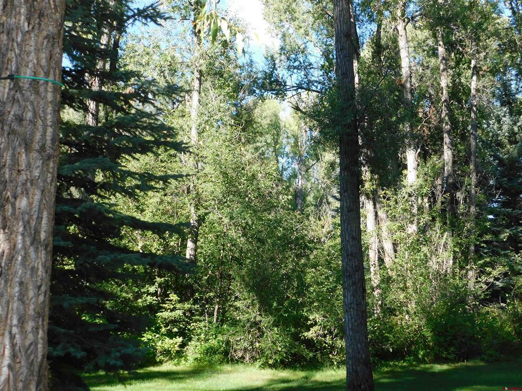 27046 Hwy 145 Property Photo 25