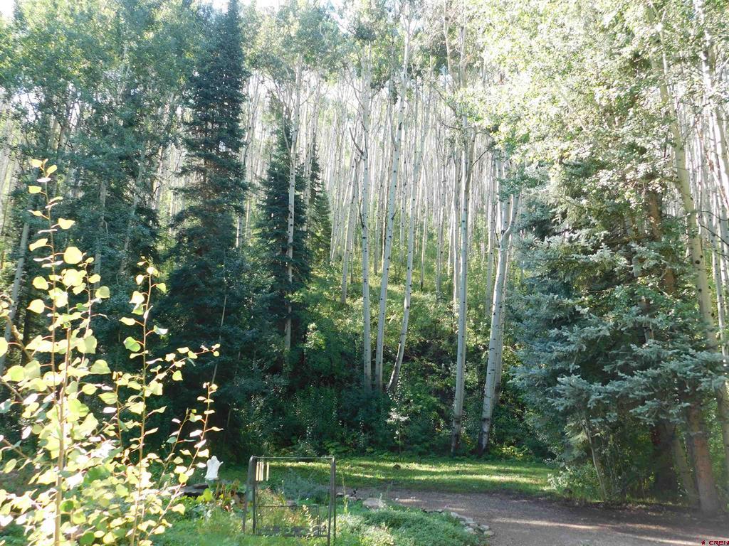 27046 Hwy 145 Property Photo 27