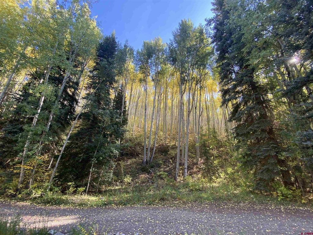 27046 Hwy 145 Property Photo 29