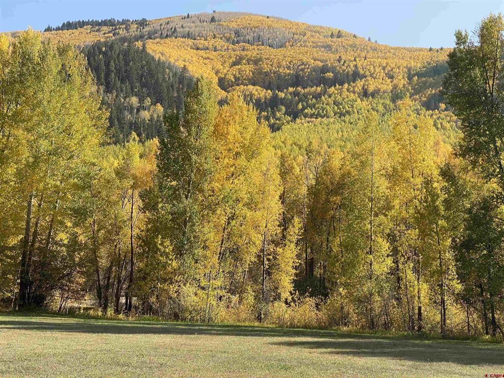 27046 Hwy 145 Property Photo 30