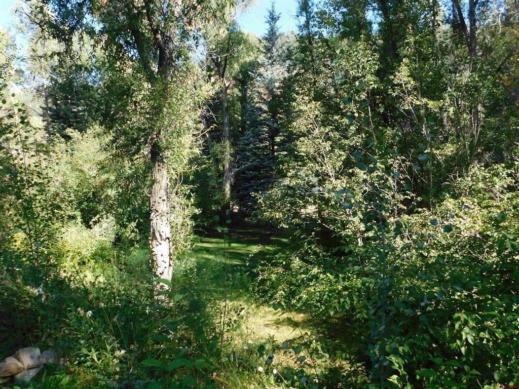 27046 Hwy 145 Property Photo 41