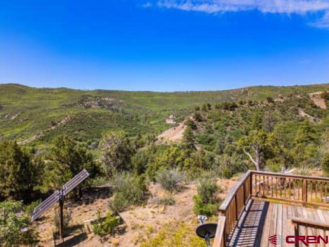 1350 Lion Road Property Photo 5