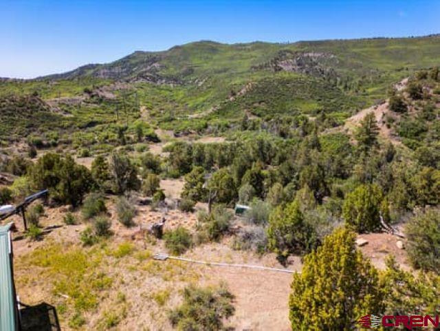 1350 Lion Road Property Photo 9
