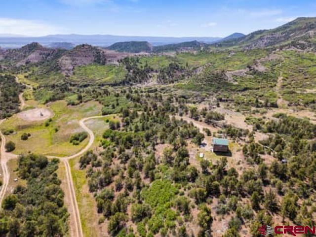 1350 Lion Road Property Photo 11