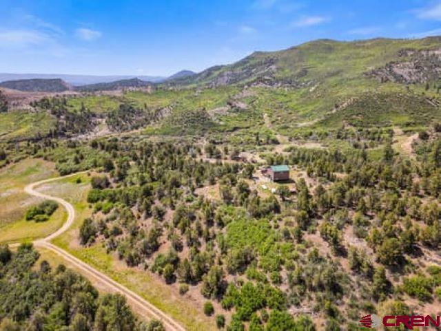 1350 Lion Road Property Photo 13