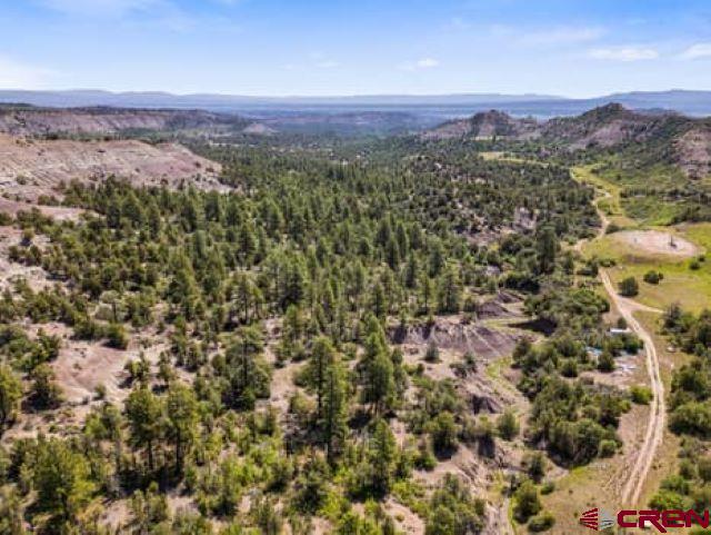 1350 Lion Road Property Photo 17