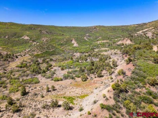 1350 Lion Road Property Photo 19