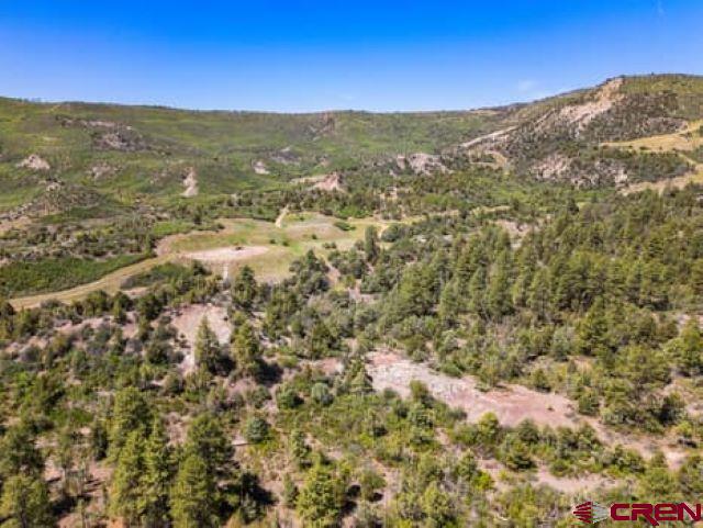 1350 Lion Road Property Photo 21