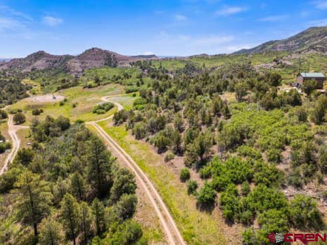 1350 Lion Road Property Photo 22