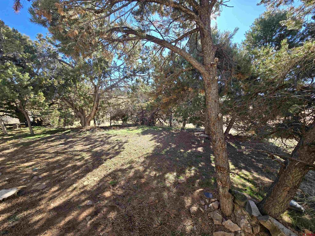 13731 Road N.8 Property Photo 23
