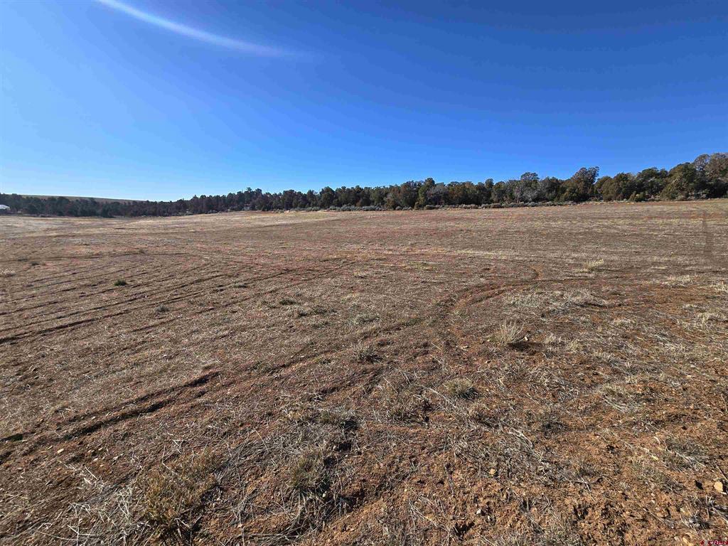13731 Road N.8 Property Photo 29