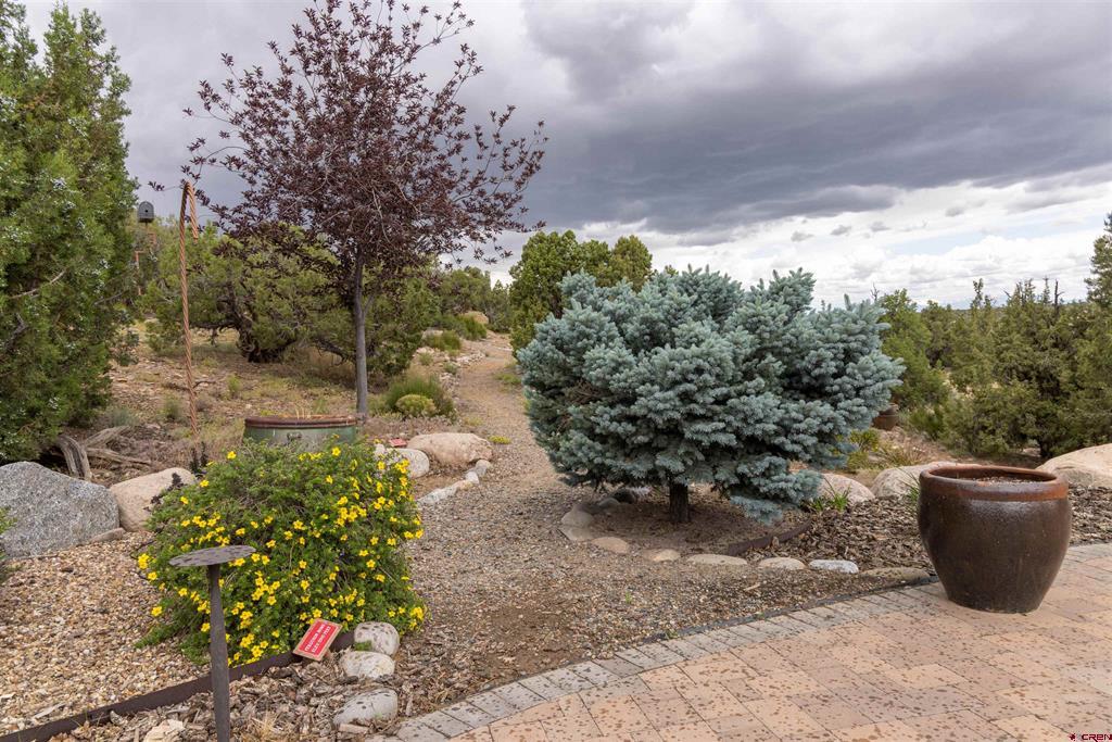 6255 Hood Mesa Trail Property Photo 29