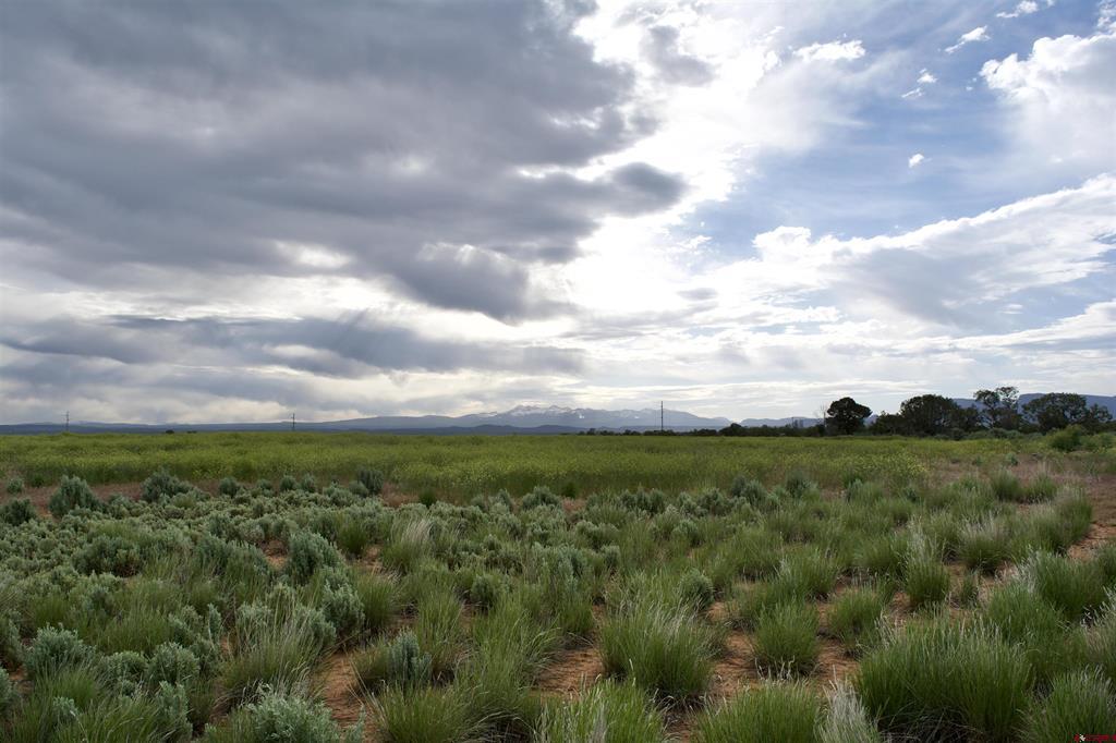 Lot 2 Road 24.3 Property Photo 6