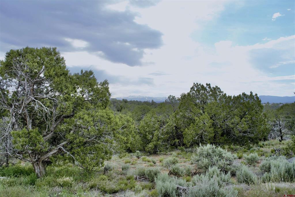 Lot 7 Road K.3 Property Photo 5