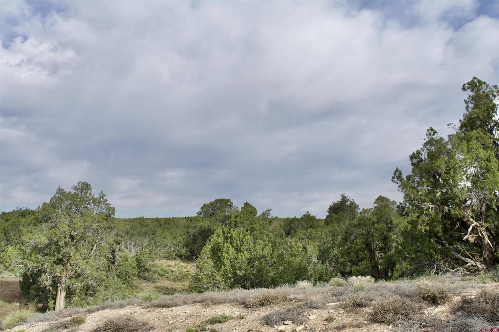 Lot 7 Road K.3 Property Photo 6