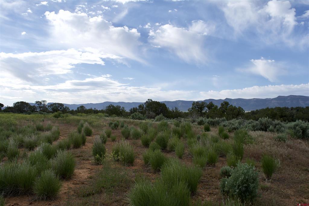 Lot 7 Road K.3 Property Photo 9