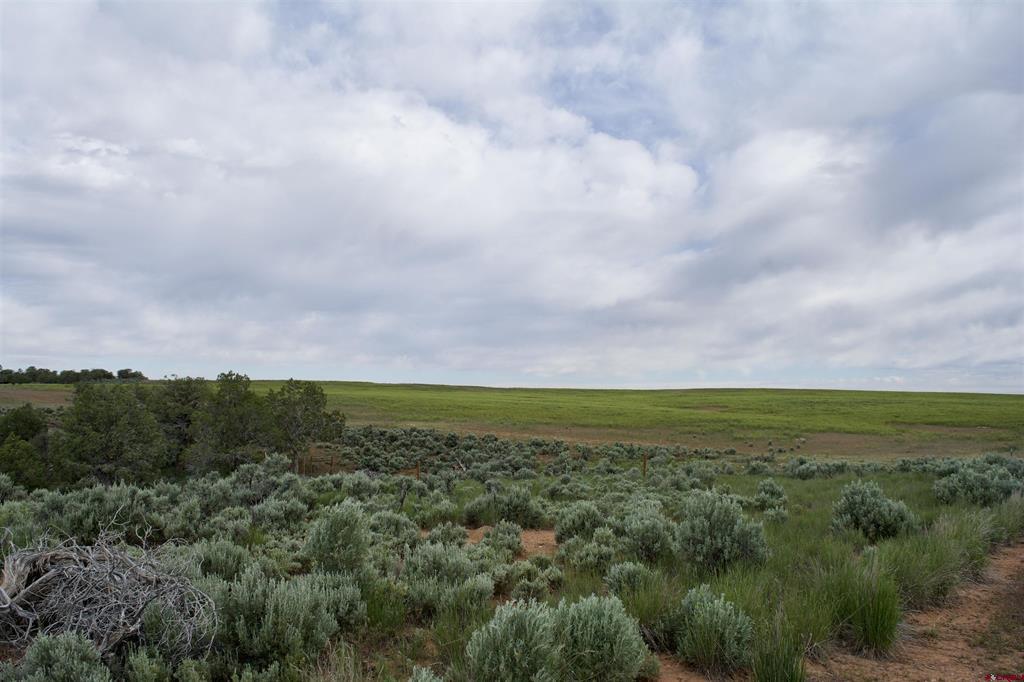 Lot 7 Road K.3 Property Photo 10