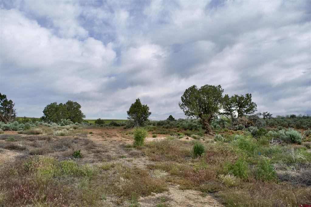 Lot 7 Road K.3 Property Photo 11