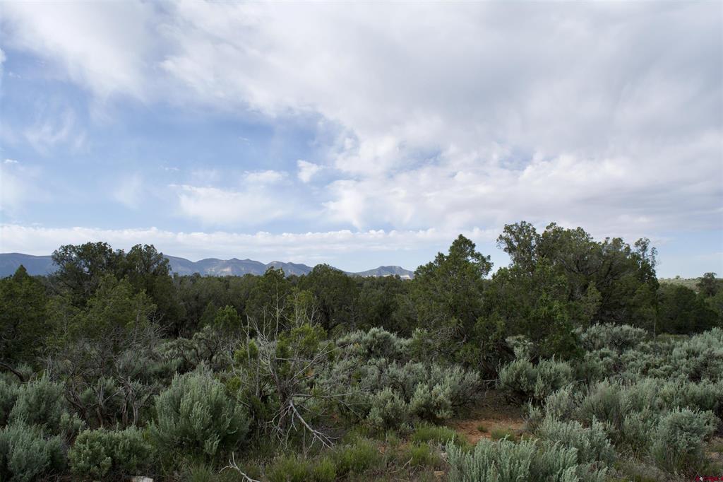 Lot 7 Road K.3 Property Photo 12