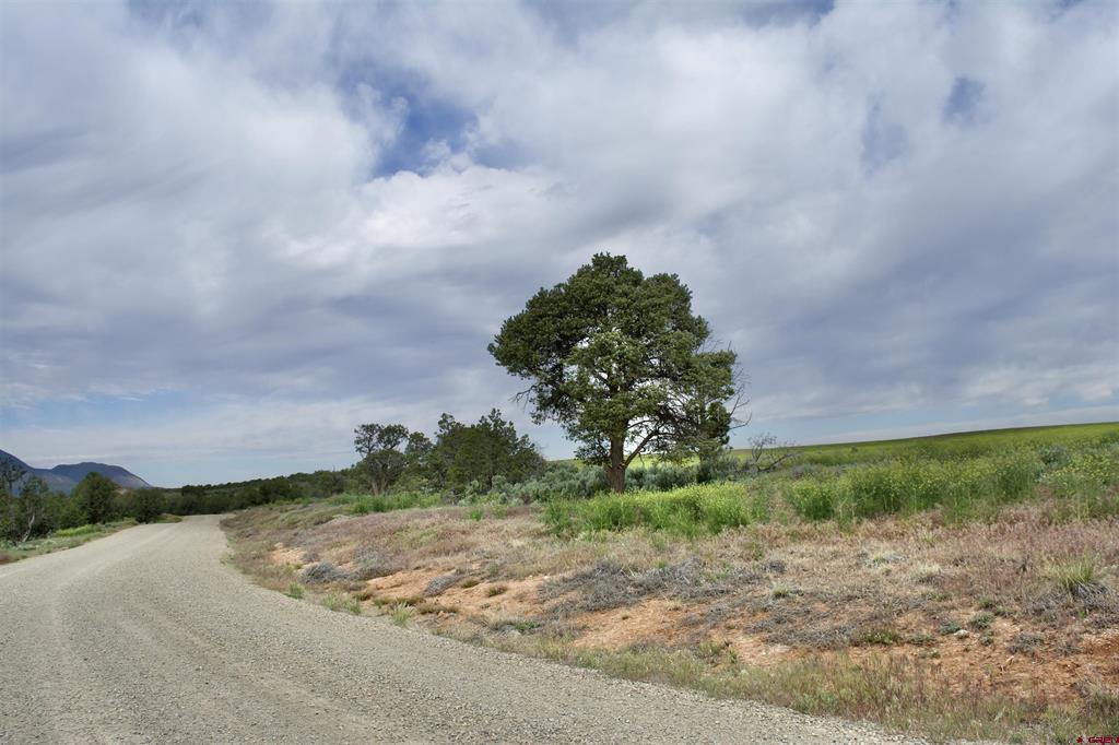 Lot 7 Road K.3 Property Photo 16