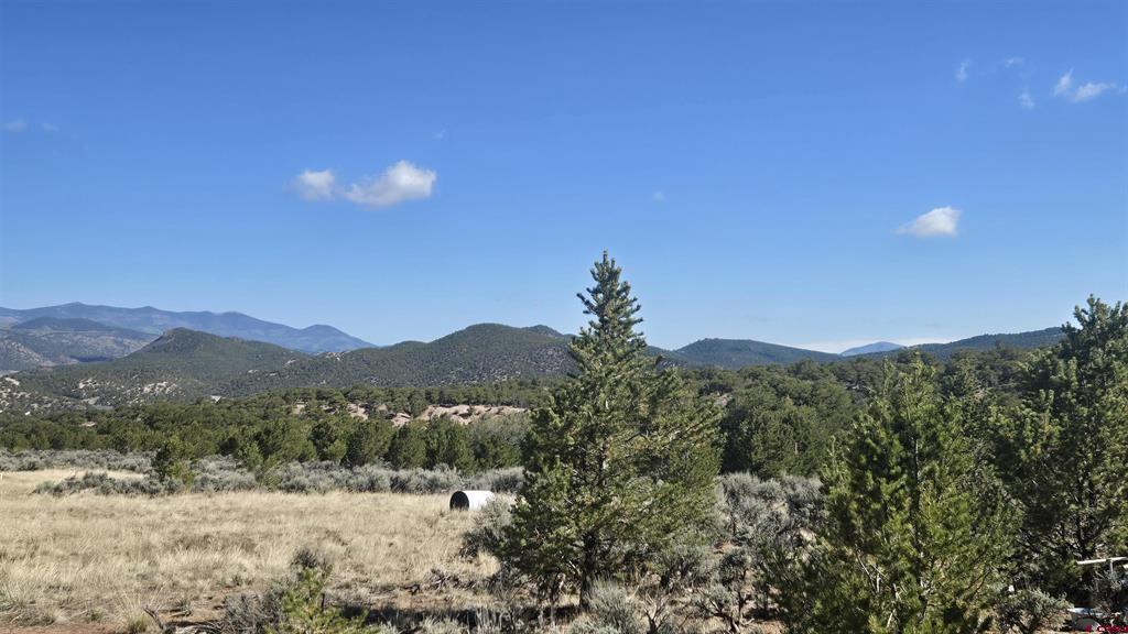 1702 Teirnan Dr Property Photo 21
