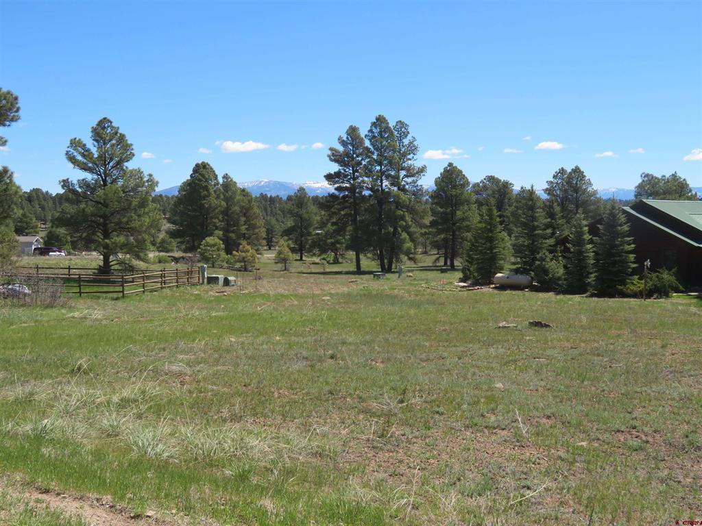 980 Trails Boulevard Property Photo 1