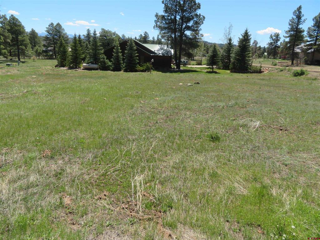980 Trails Boulevard Property Photo 4
