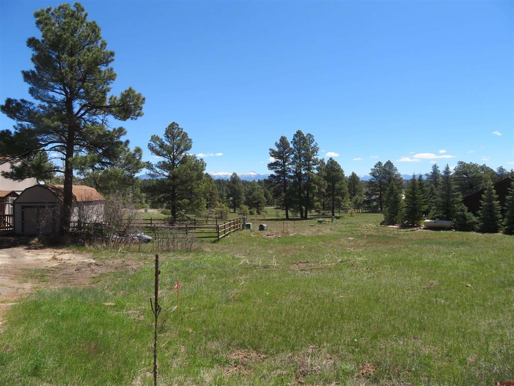980 Trails Boulevard Property Photo 5