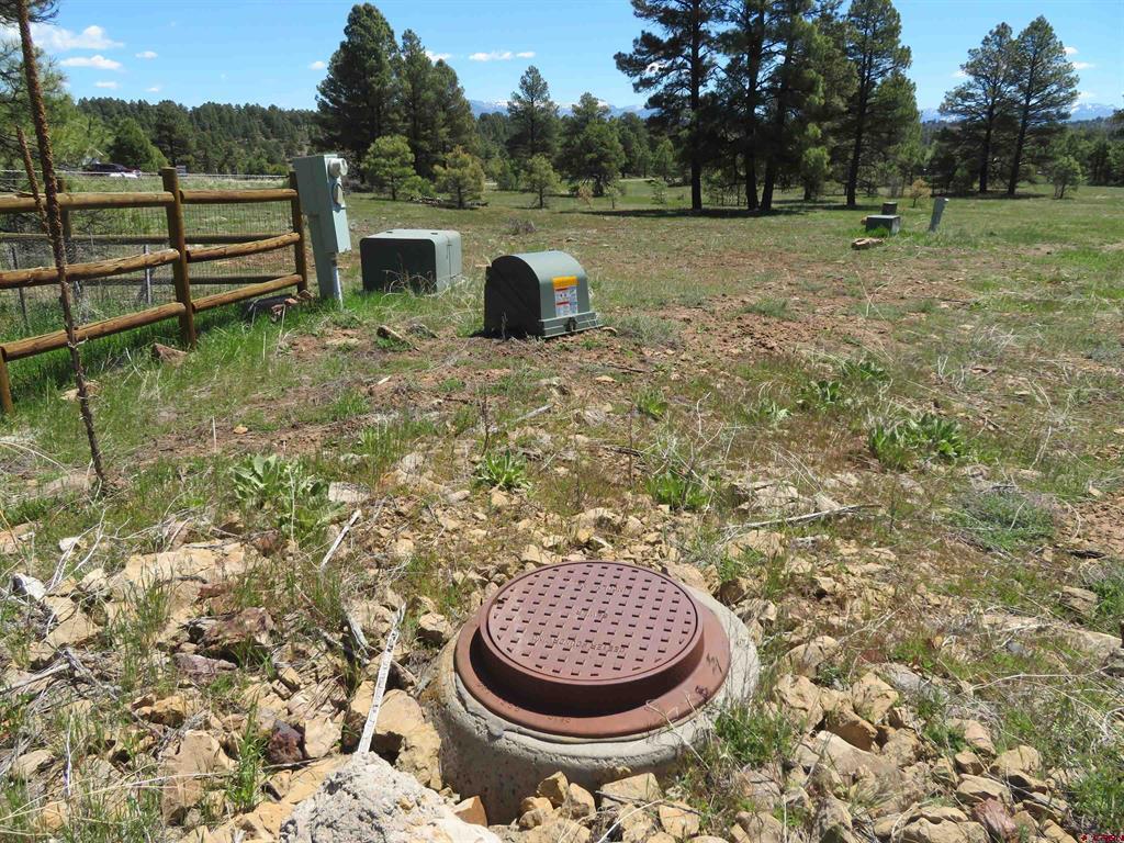 980 Trails Boulevard Property Photo 6