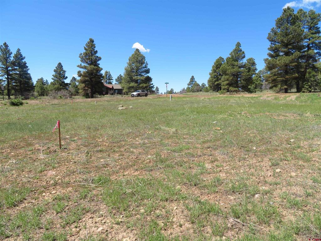 980 Trails Boulevard Property Photo 7