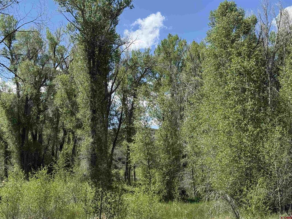 82653 Highway 92 Property Photo 36