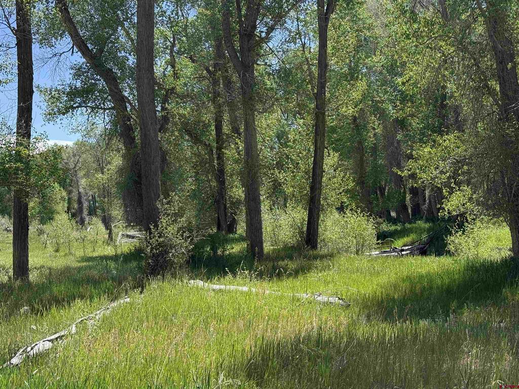 82653 Highway 92 Property Photo 44