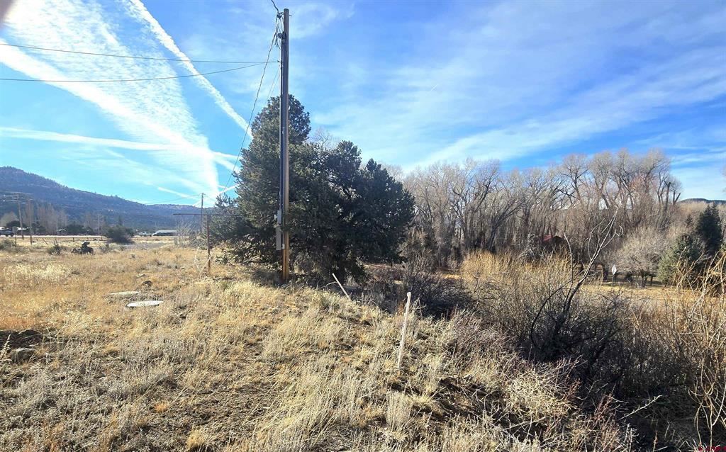 75 Comanche Trail Property Photo 23