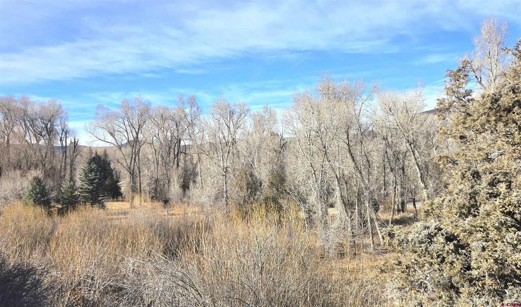 75 Comanche Trail Property Photo 24