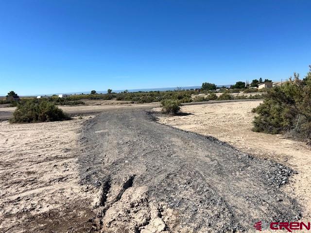 23421 Firebird Lane Property Photo 1