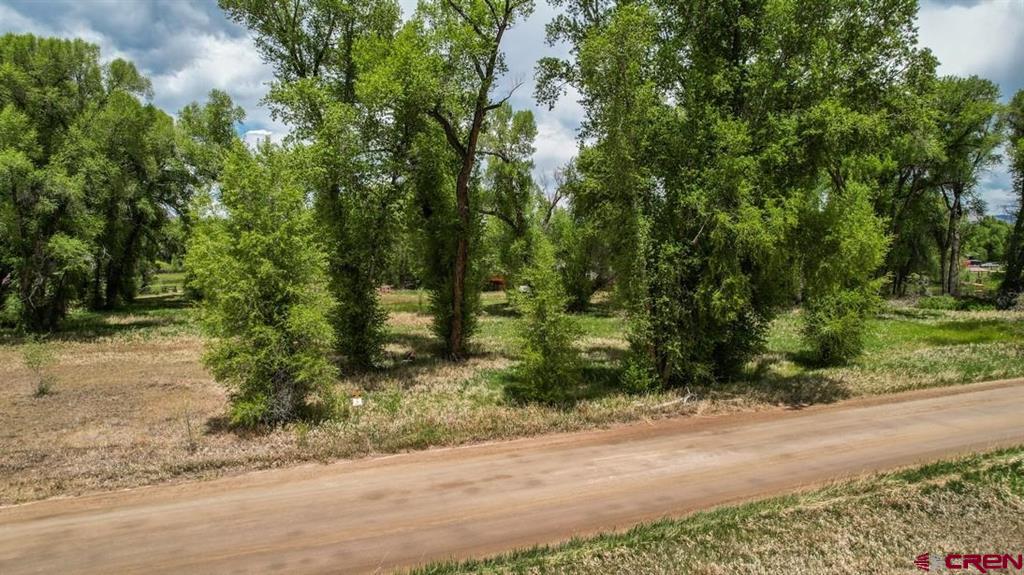 91 Apache Road Property Photo 2